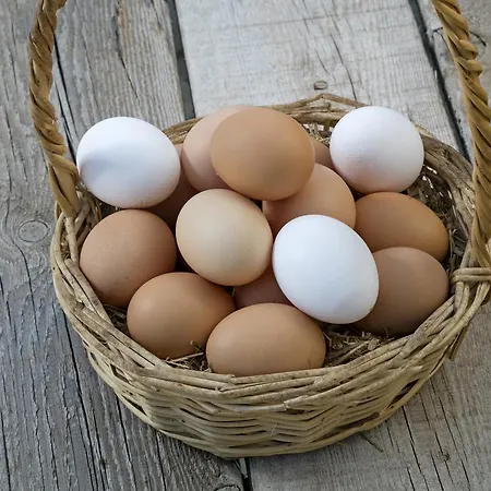 Szálloda Oersmaris Boutique Marmaris