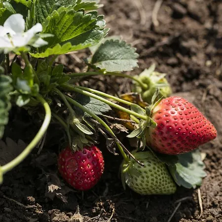 Oersmaris Boutique Мармарис