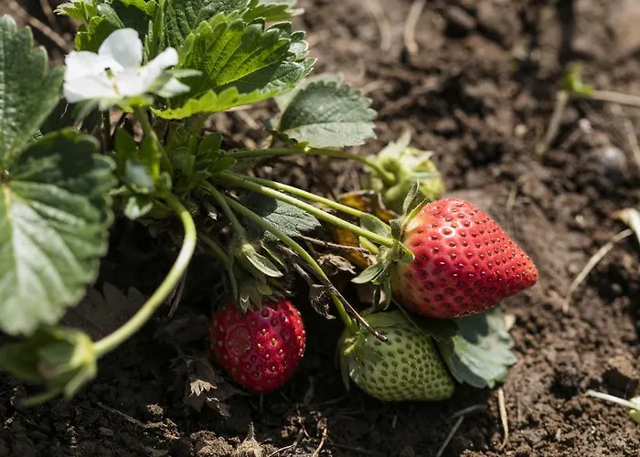 Oersmaris Boutique Marmaris