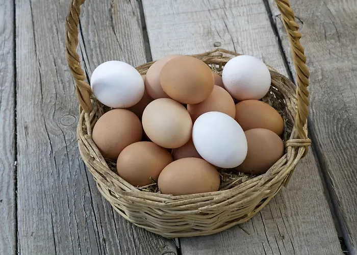 Ξενοδοχείο Oersmaris Boutique Μαρμαρίς